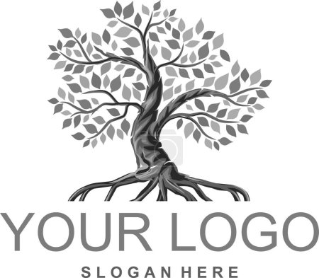 Téléchargez les illustrations : Logo abstrait de mangrove. arbre de printemps vert avec des feuilles, du bois et des racines sur fond blanc - en licence libre de droit