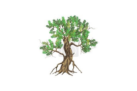 Téléchargez les illustrations : Mangrove arbre vecteur dessiné à la main - en licence libre de droit