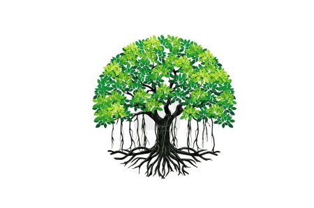 Illustration for Banyan tree vector illustration. tree logo in circular shaped. - Royalty Free Image