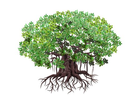 Téléchargez les illustrations : Grande illustration de vecteur d'arbre banyan. racines suspendues d'une plante. - en licence libre de droit