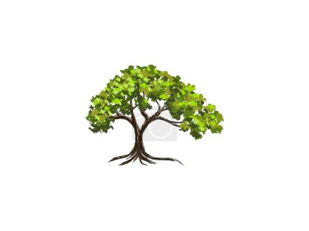 Illustration for Hand drawing acacia tree vector isolated - Royalty Free Image