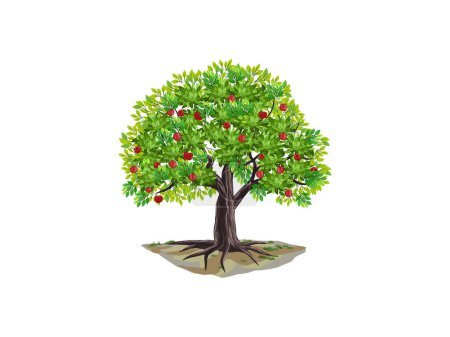 Illustration for Apple tree vector illustration, apple fruits on the tree - Royalty Free Image