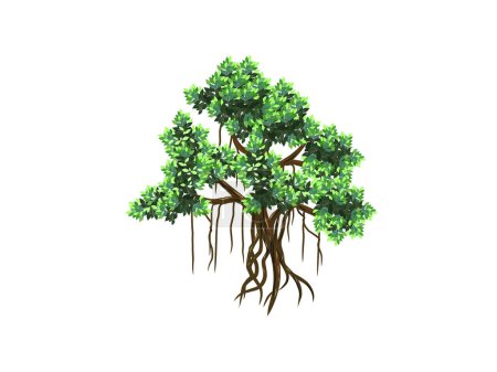Téléchargez les photos : Illustrations vectorielles d'arbre de Banyan, art dessiné à la main isolé sur blanc. - en image libre de droit