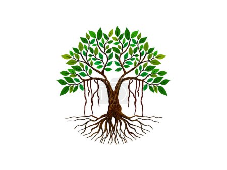 Ilustración de Banyan árbol de imagen vectorial. hermosa planta con las raíces en forma de círculo - Imagen libre de derechos