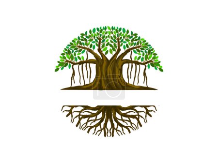 Téléchargez les photos : Logo de l'arbre Banyan en forme de cercle - en image libre de droit