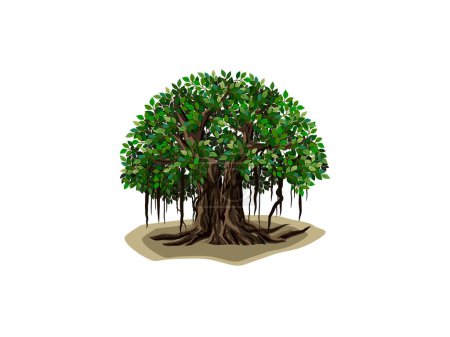 Ilustración de Más grandes ilustraciones del vector del árbol de Banyan - Imagen libre de derechos