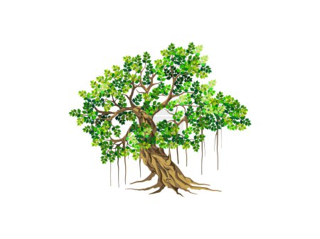 Téléchargez les illustrations : Illustration vectorielle d'arbre banyan, modèle d'arbre de logo - en licence libre de droit