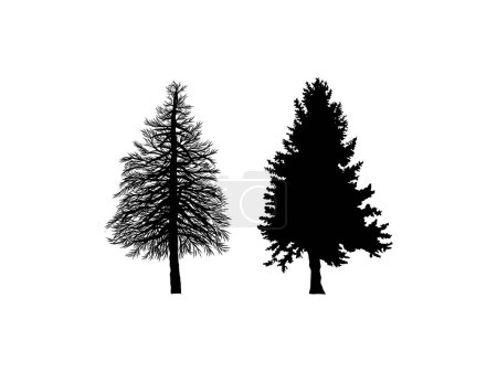 Illustration for Fir tree vector illustrations. silhouette hand drawing art - Royalty Free Image