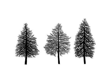 Ilustración de Silueta de pino y abeto, abeto dibujado a mano - Imagen libre de derechos