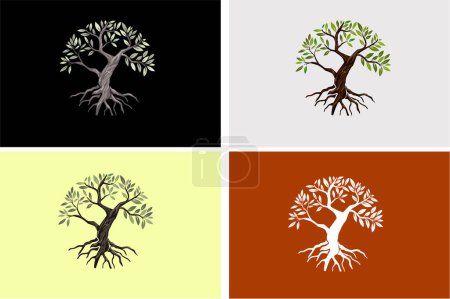 Illustration for Olive tree hand drawing set, vector image - Royalty Free Image
