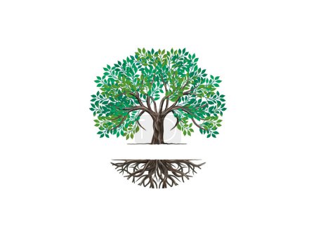 Ilustración de Árbol de roble y raíces logo vector, árbol con forma redonda - Imagen libre de derechos