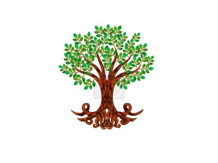 Illustration for Olive tree illustrations for wall art - Royalty Free Image