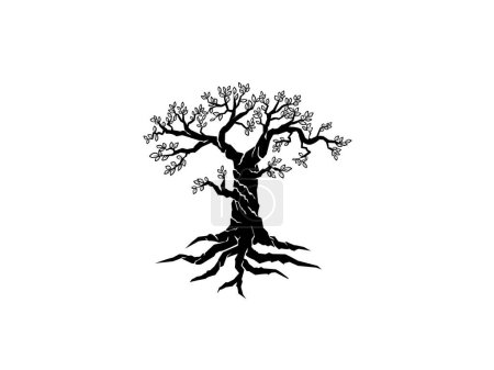 Téléchargez les illustrations : Olivier icône vecteur. arbre et racines isolés sur blanc - en licence libre de droit