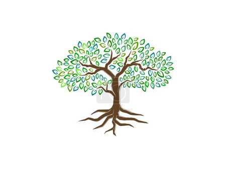 Ilustración de Árbol y raíces diseño del logotipo. Árbol de roble abstracto con arco iris y hojas coloridas, vector aislado en blanco. - Imagen libre de derechos