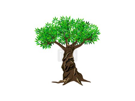 Illustration for Olive tree logo hand drawing vector isolated - Royalty Free Image