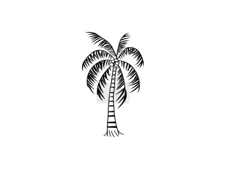 Ilustración de Dibujado a mano de ilustraciones vectoriales palmera - Imagen libre de derechos