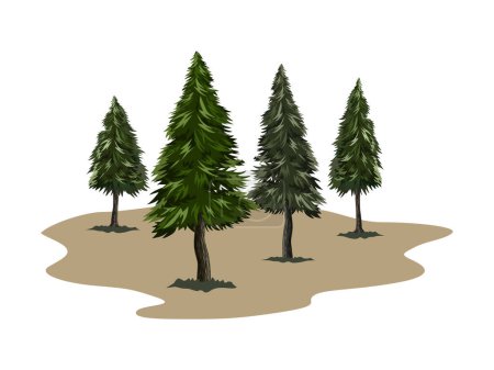 Téléchargez les illustrations : Illustrations vectorielles de forêts de pins et de sapins - en licence libre de droit