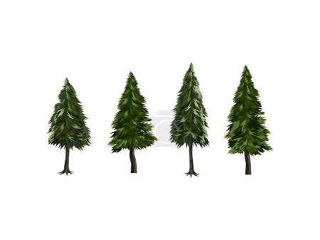 Ilustración de Abeto, pino y abeto vector del árbol. Árboles forestales aislados sobre fondo blanco. - Imagen libre de derechos