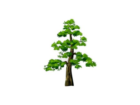 Téléchargez les illustrations : Illustration vectorielle de séquoia, le plus grand arbre du monde. Logo de la plante Sequoiadendron giganteum. arbre de séquoia. - en licence libre de droit