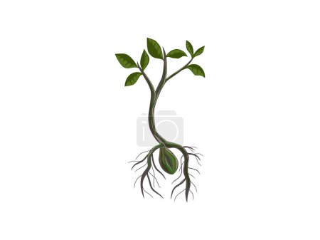 Illustration for Growing tree seeds vector hand drawing - Royalty Free Image