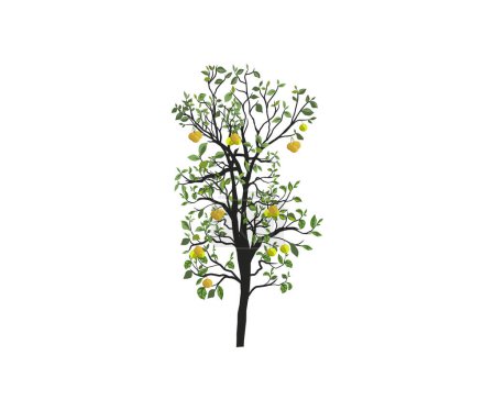 Téléchargez les illustrations : Illustrations vectorielles d'arbres, arbre aux branches minces - en licence libre de droit