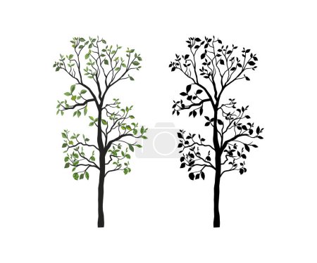 Illustration for Teak tree vector. teak tree with various color models - Royalty Free Image