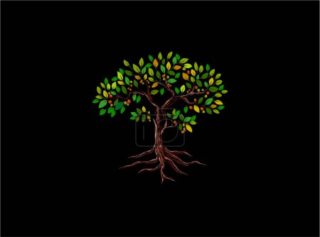 Téléchargez les illustrations : Mangoustan arbre fruitier vecteur isolé sur fond noir - en licence libre de droit
