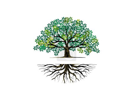 Téléchargez les illustrations : Arbre et racines modèles de logo avec forme circulaire, chêne avec l'écart entre l'arbre et la racine pour remplir l'écriture. - en licence libre de droit
