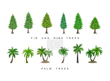 Illustration for Collection of pine, fir, spruce and palm trees vector in cartoon style - Royalty Free Image