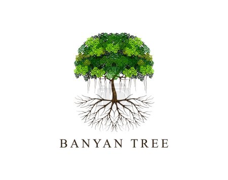 Illustration for Tree vector illustration. roots of banyan tree. mangrove plant - Royalty Free Image