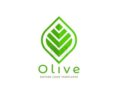 Illustration for Olive green leaf logo design templates. eco green concept with modern style. - Royalty Free Image