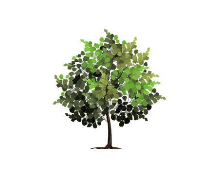 Illustration for Hand drawn tree vector isolated. water color style. - Royalty Free Image