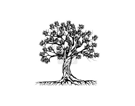 Illustration for Olive tree vector illustration - Royalty Free Image