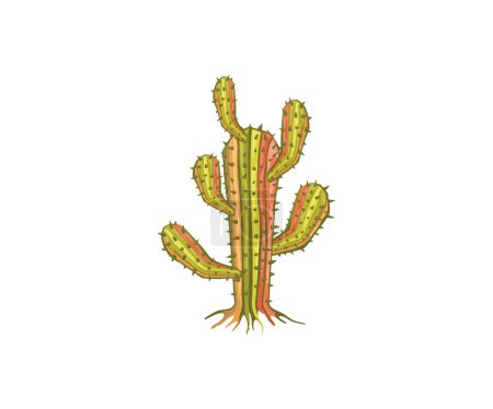 Téléchargez les illustrations : Vecteur d'arbre de cactus isolé sur blanc - en licence libre de droit
