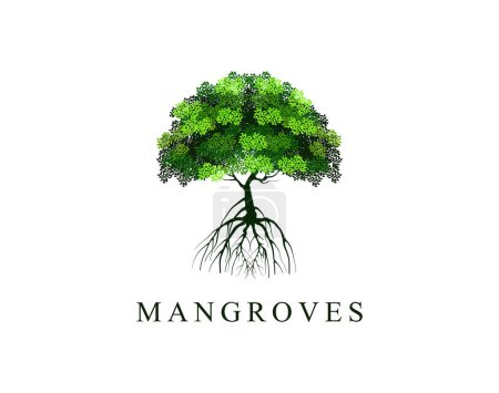 Téléchargez les illustrations : Vecteur d'arbre de mangrove isolé sur fond blanc - en licence libre de droit