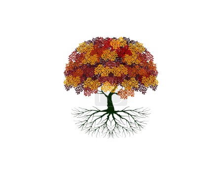 Illustration for Maple tree vector, Beautiful stylish tree isolated on white background. - Royalty Free Image