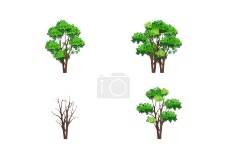 Téléchargez les illustrations : Collection d'arbres feuillus et sans feuilles, vecteur isolé sur blanc. - en licence libre de droit