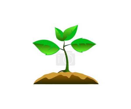 Illustration for A plant seed illustration. Young tree illustration isolated on white background for web and mobile. - Royalty Free Image