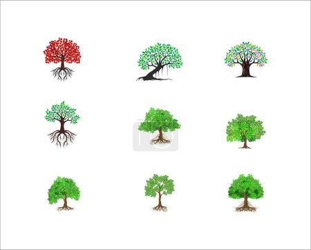 Illustration for Tree vector icon set, various of plant - Royalty Free Image