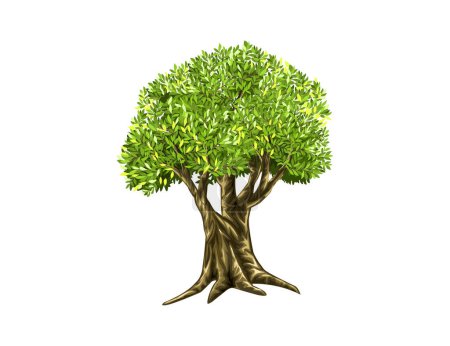 Téléchargez les illustrations : Illustration vectorielle du logo ancien arbre - en licence libre de droit