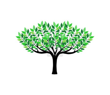 Téléchargez les photos : Ancienne illustration vectorielle du logo de l'arbre, vecteur icône de l'arbre isolé sur fond blanc - en image libre de droit