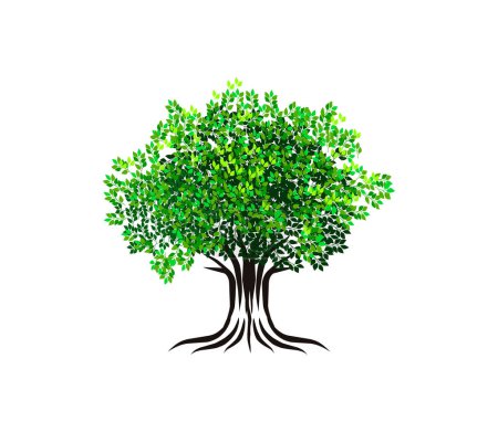 Téléchargez les illustrations : Ancienne illustration vectorielle du logo de l'arbre, vecteur icône de l'arbre isolé sur fond blanc - en licence libre de droit