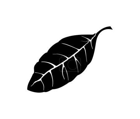 Ilustración de Silueta negra de una hoja sobre un fondo blanco - Imagen libre de derechos