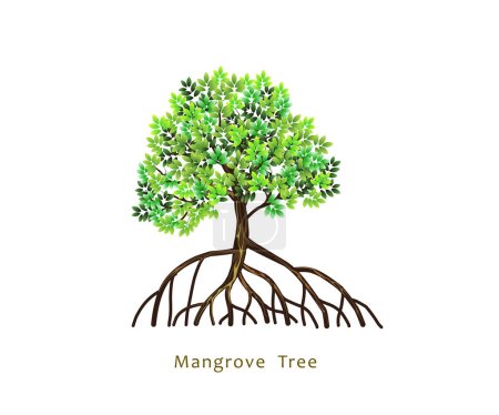Téléchargez les illustrations : Bannière arbre mangrove, illustration vectorielle - en licence libre de droit