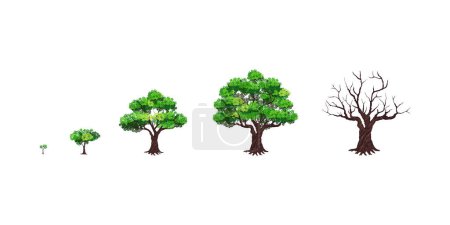 Téléchargez les illustrations : Ensemble d'arbres, isolé sur fond blanc. illustration vectorielle - en licence libre de droit