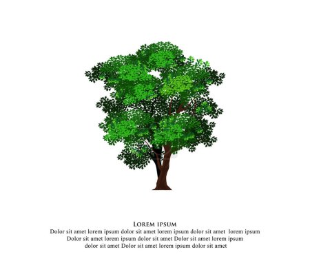 Téléchargez les illustrations : Illustration vectorielle d'un arbre vert - en licence libre de droit