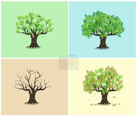 Téléchargez les illustrations : Trees icon set vector illustration - en licence libre de droit