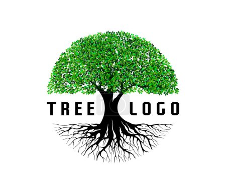 Illustration for Tree icon vector illustration - Royalty Free Image