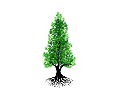Illustration for Beautiful tree banner, vector illustration - Royalty Free Image