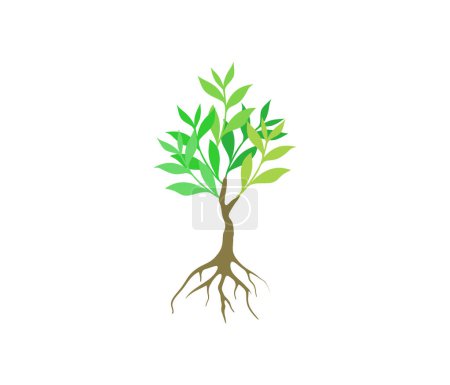 Illustration for Tree icon logo design template vector - Royalty Free Image